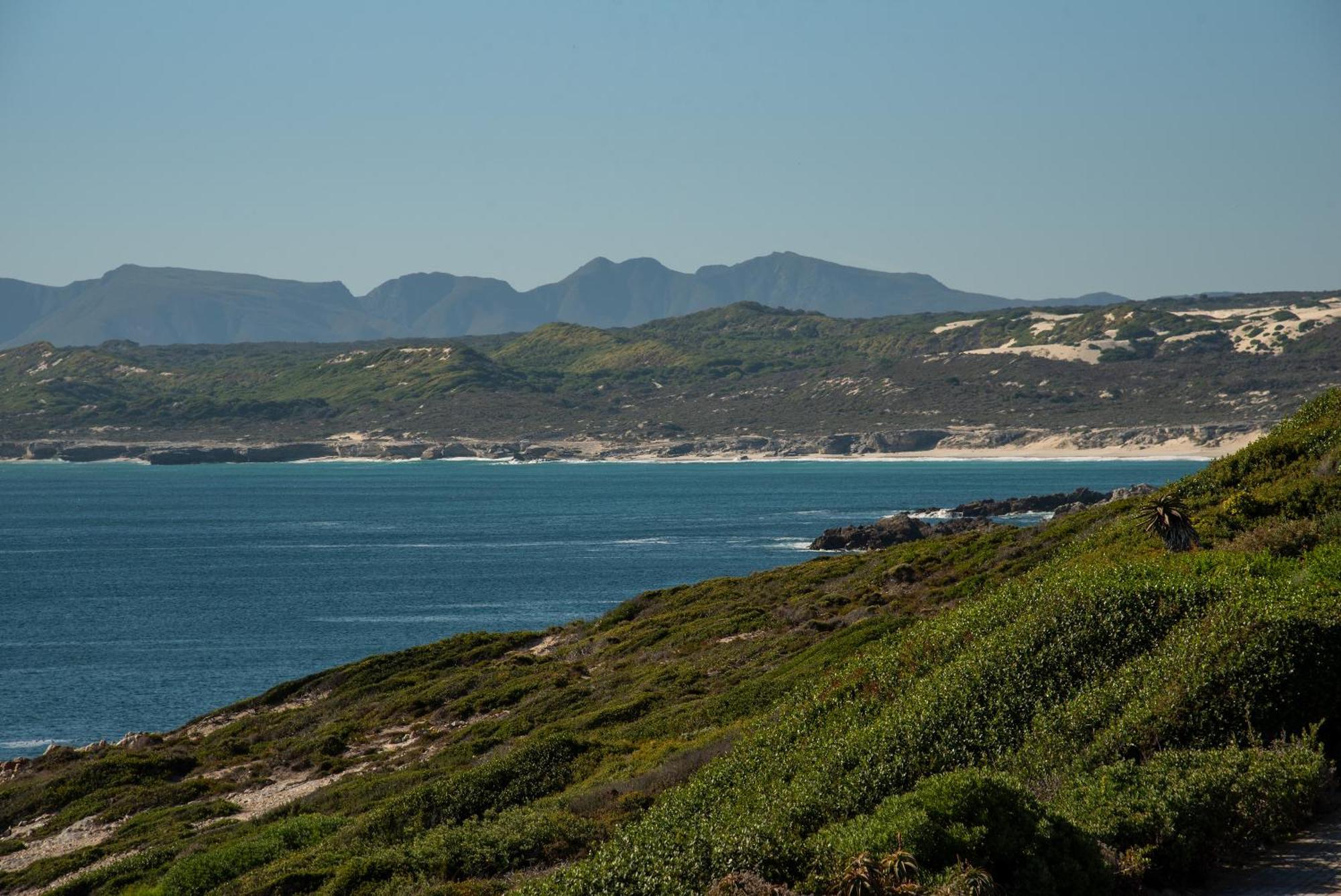 Whalesong Lodge Gansbaai Eksteriør billede