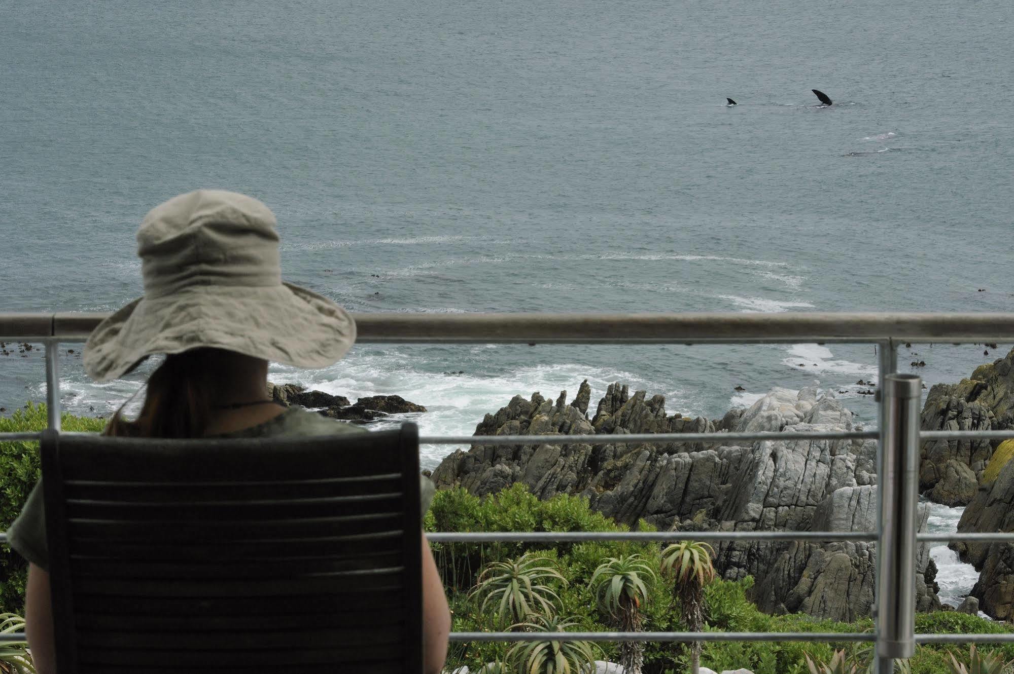 Whalesong Lodge Gansbaai Eksteriør billede